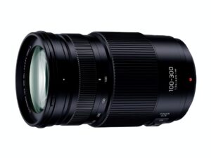 LUMIXの望遠レンズG VARIO 100-300mm/F4.0-5.6 IIを使った感想