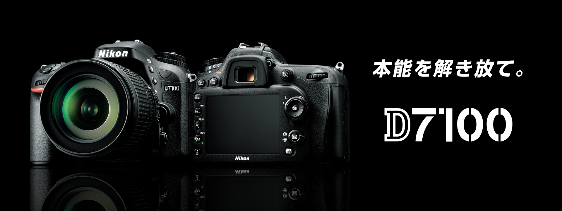 Nikon ニコン D7100