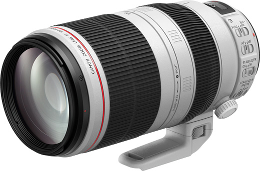 Canon EF100-400mm F4.5-5.6L IS II USM