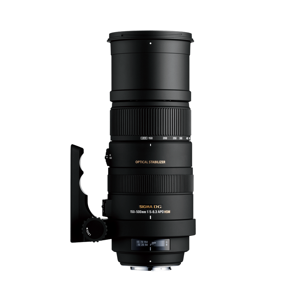Sigma シグマ Apo 150-500mm F5-6.3 DG Os Hsm