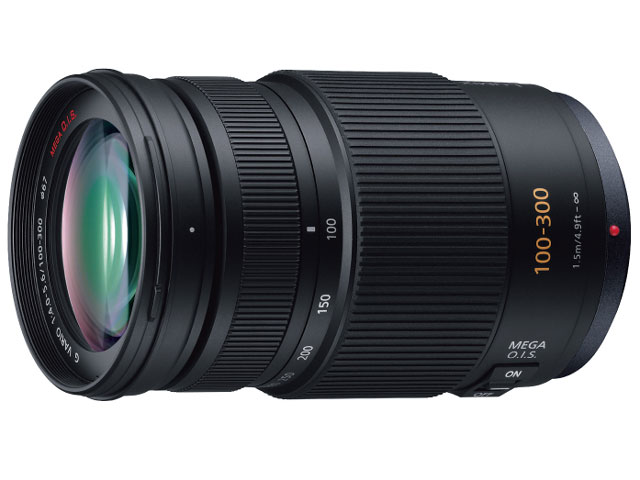 Panasonic パナソニック LUMIX G VARIO 100-300mm/F4.0-5.6/MEGA O.I.S. H-FS100300