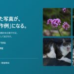 あなたが撮った写真が、その機材の「作例」になる。