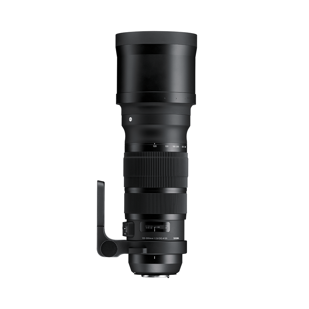 Sigma シグマ SPORTS 120-300mm F2.8 DG Os Hsm