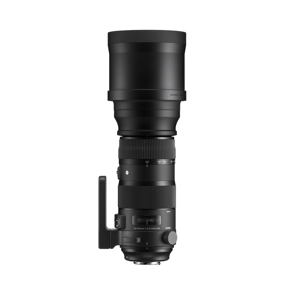 Sigma シグマ SPORTS 150-600mm F5-6.3 DG Os Hsm