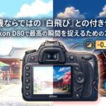 CCD機ならではの「白飛び」との付き合い方。D80で最高の瞬間を捉えるためのコツ