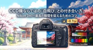 CCD機ならではの「白飛び」との付き合い方。D80で最高の瞬間を捉えるためのコツ